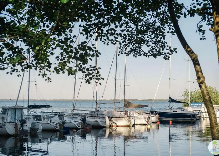 Duplex 4 Personnes Classé 1 étoile Biscarrosse