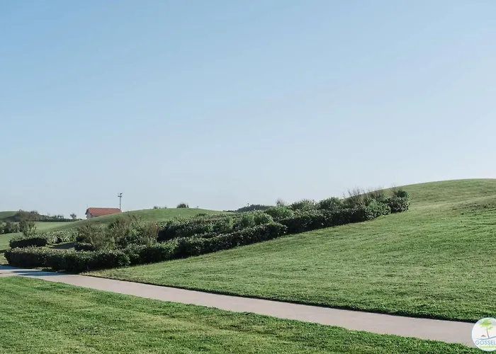 Duplex 4 Personnes Classé 1 étoile Biscarrosse